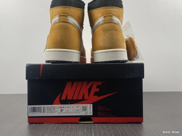 Bmlin Shoes Light 1 High Jordan Element DB2889-700 Curry Gore-Tex 0711